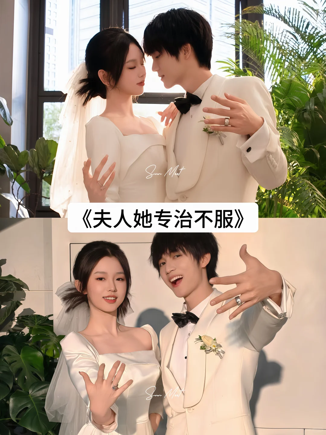 码住🔥这几部好看的短剧你看过几部❓