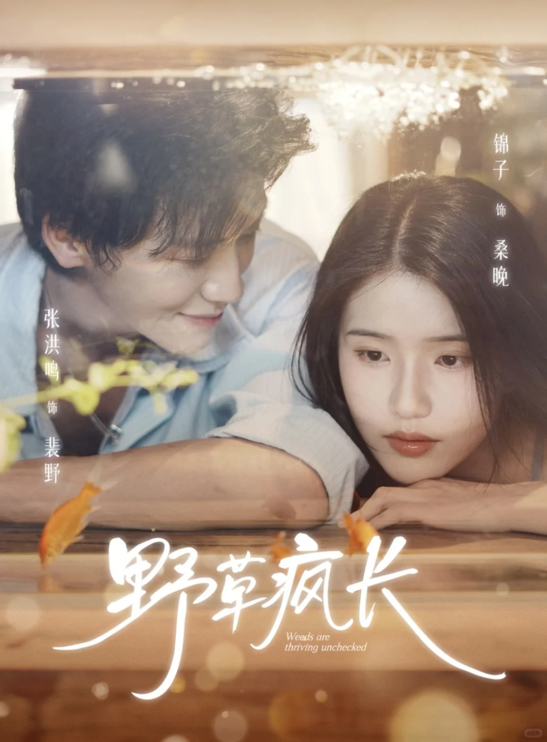 9分《野草疯长》，共沐春风吹又生。