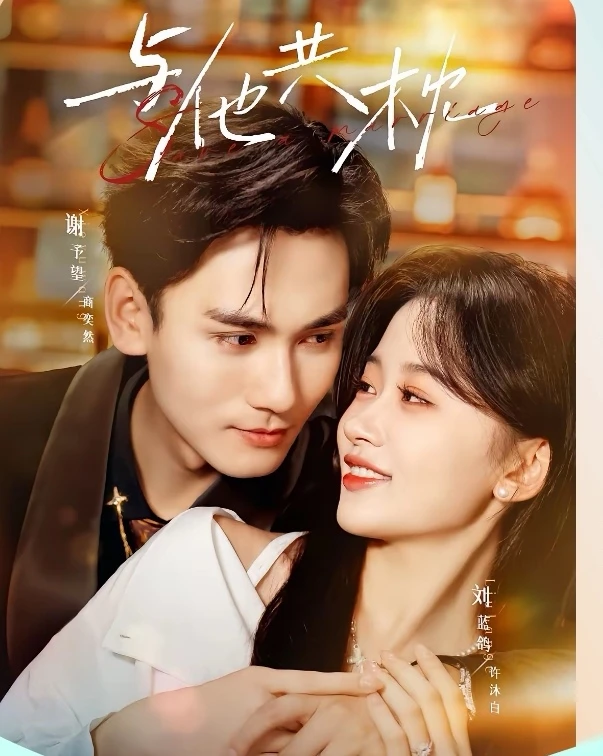 短剧推荐：与他共枕 推荐指数：10星