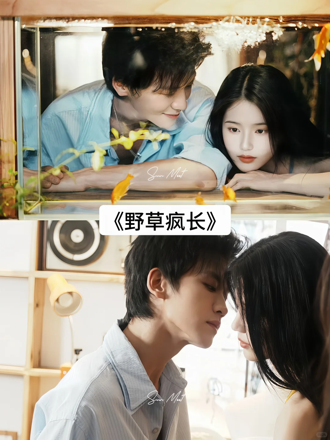 码住🔥这几部好看的短剧你看过几部❓