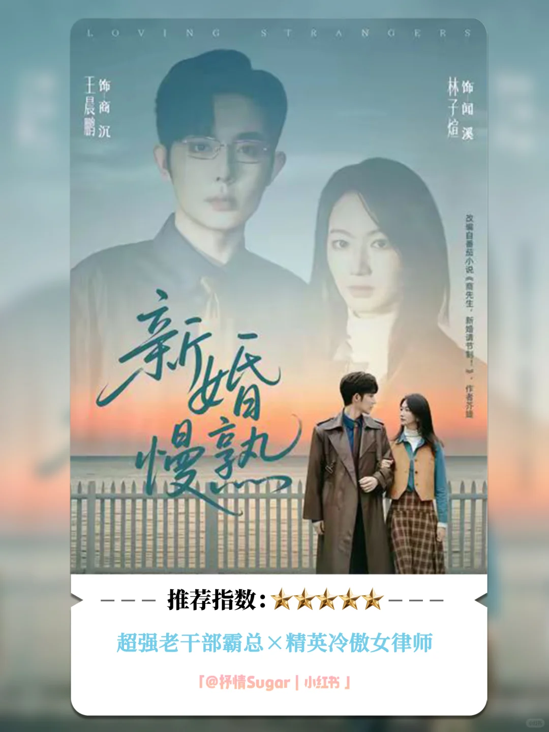 测评：新婚慢熟，双强智性恋，10星强推！