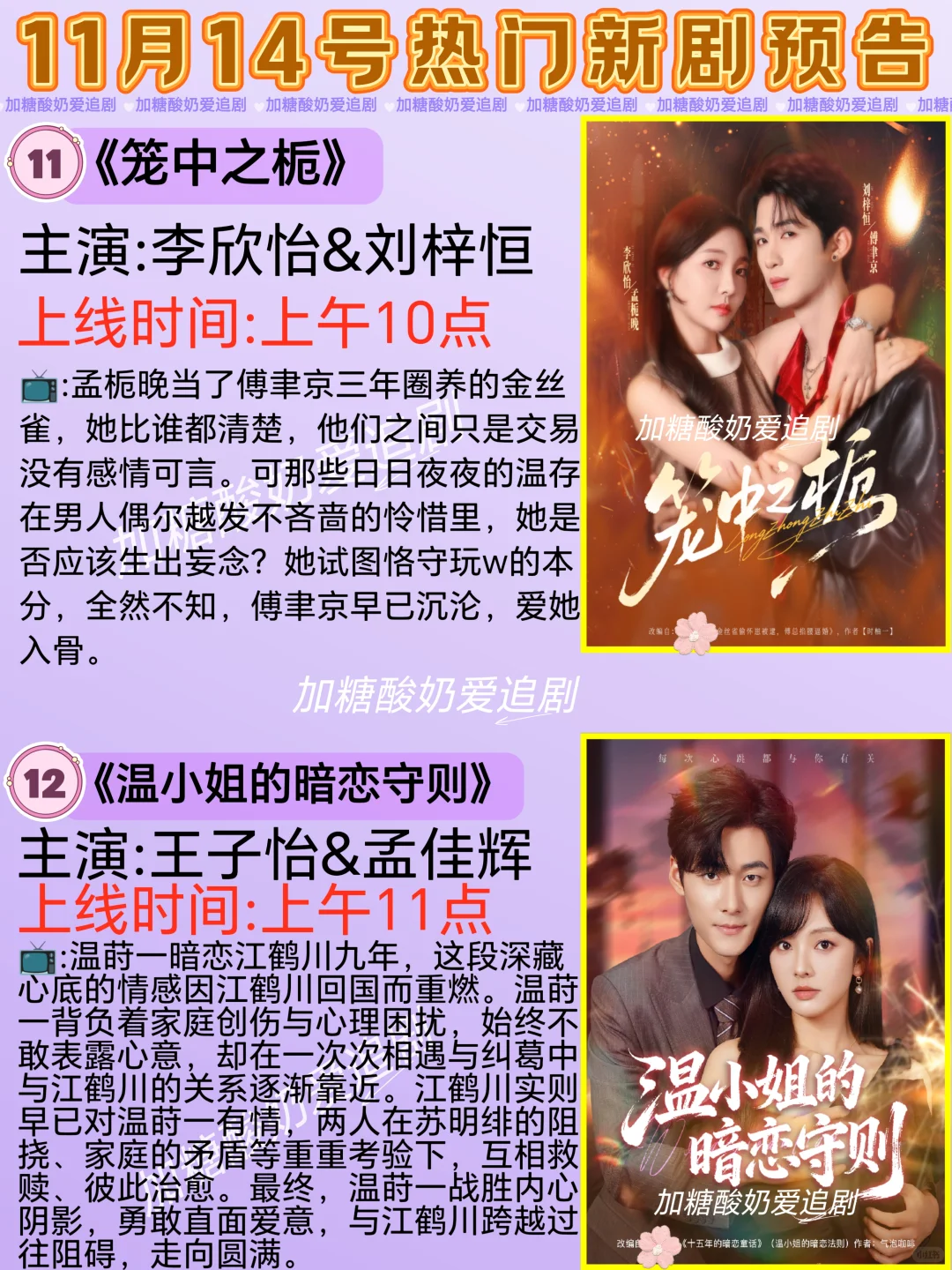 天花板短剧💥11月14日热门短剧预告