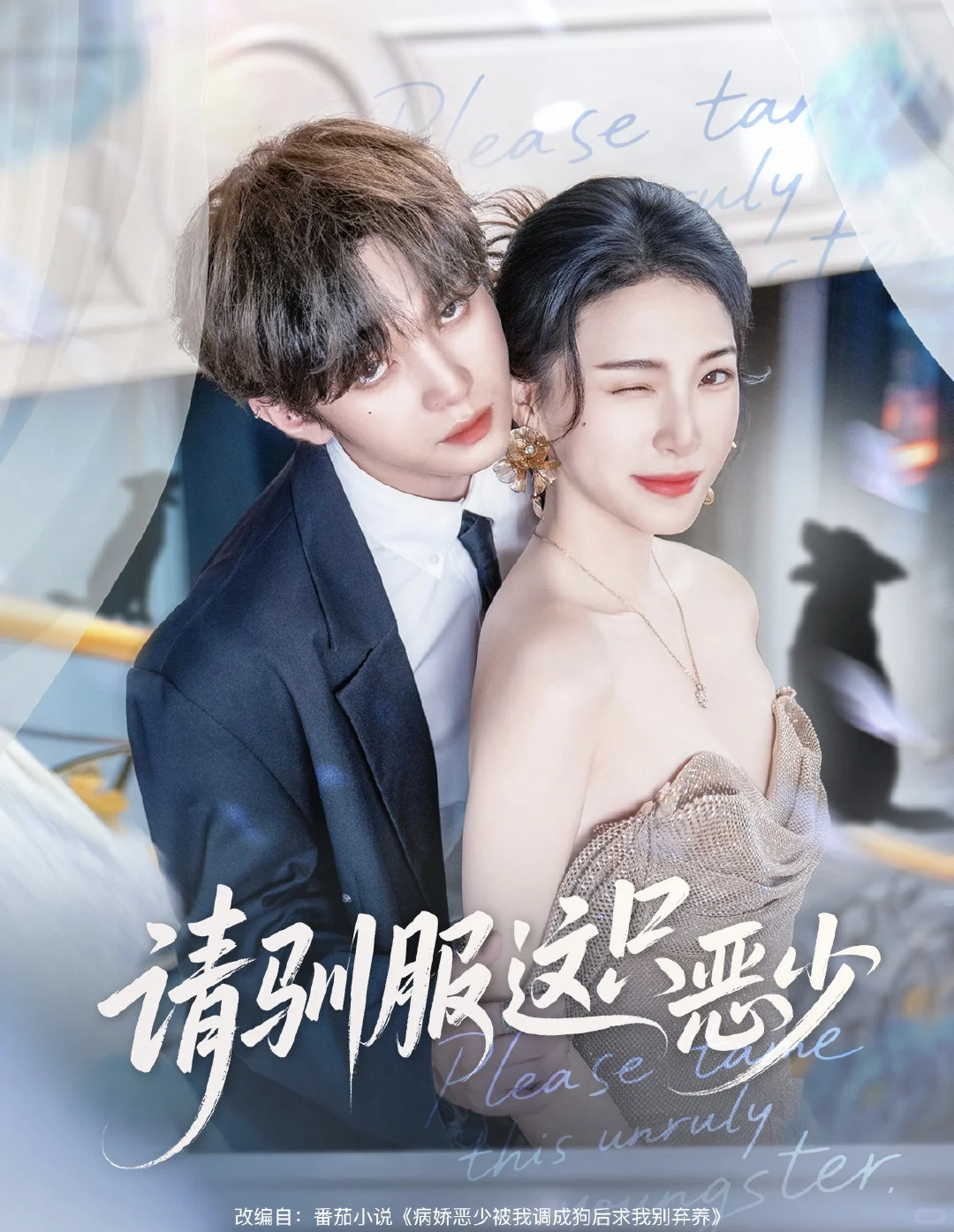 11月12日短剧预告❤️申浩男 翟一莹 马乐婕