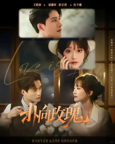 品质中上的短剧推荐！