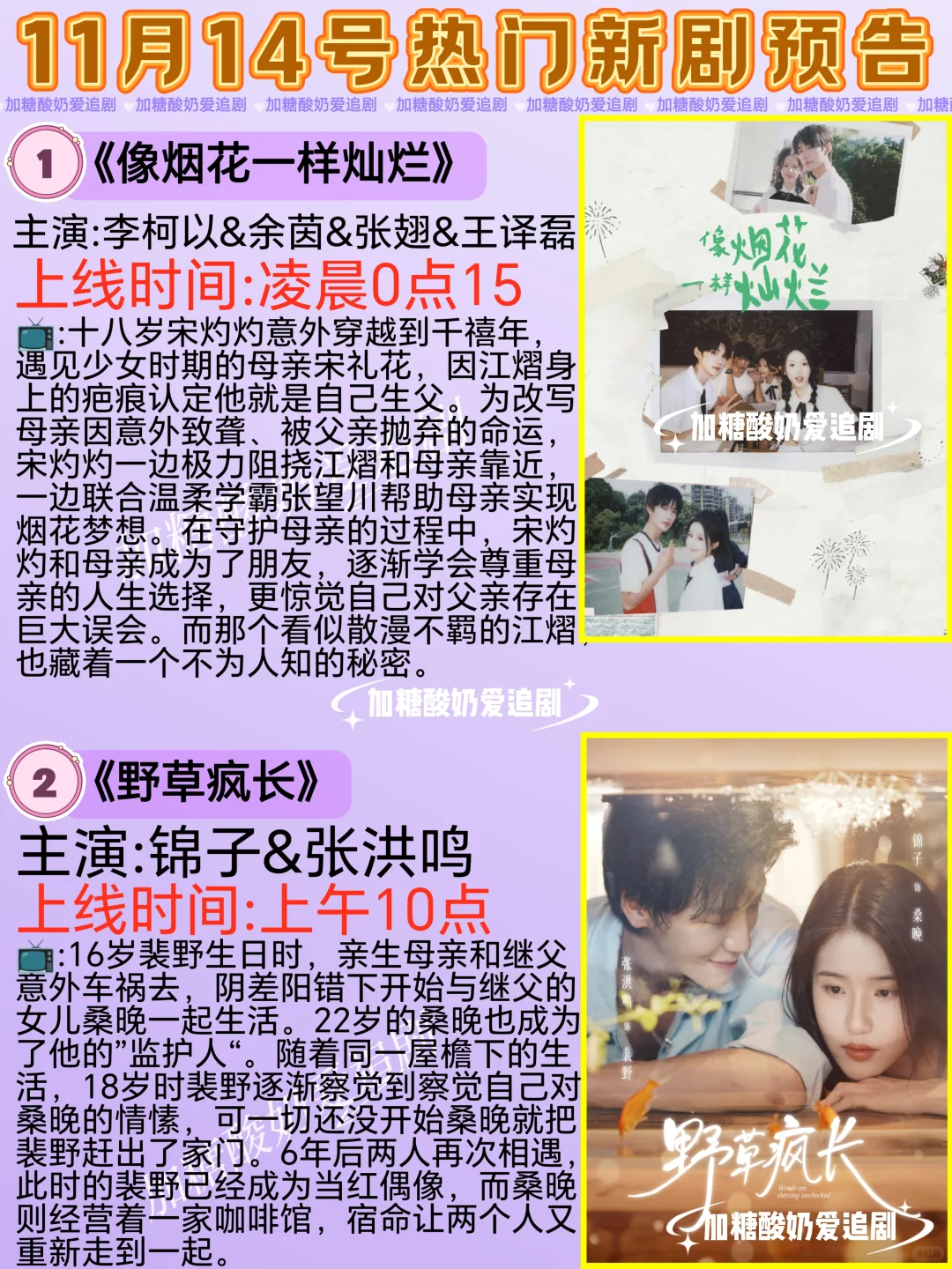 天花板短剧💥11月14日热门短剧预告