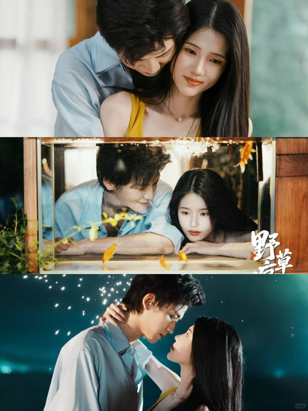 开局高能！伪骨科的禁忌拉扯感我先冲了！