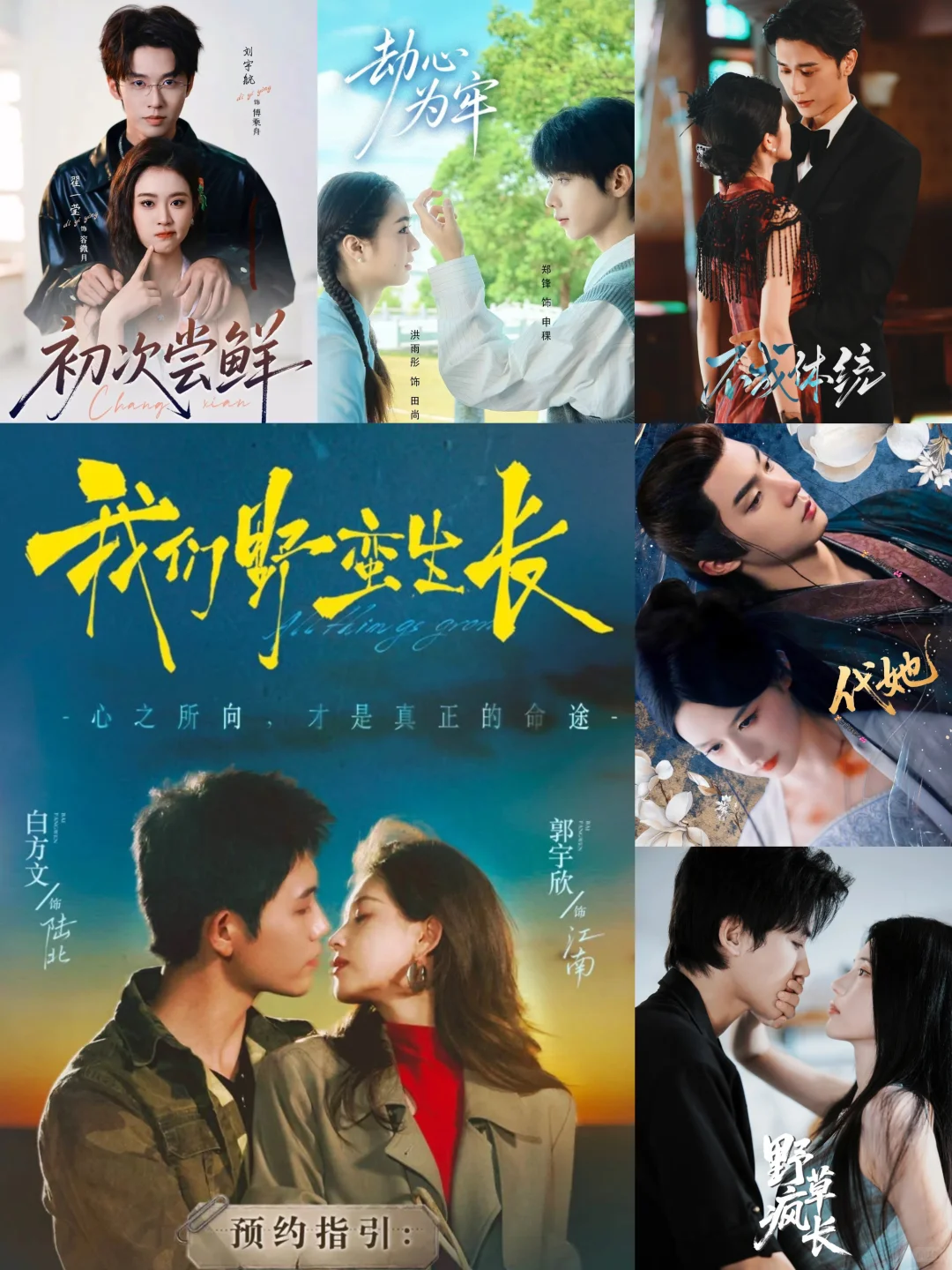 11月热门待播剧👀，你期待哪部？