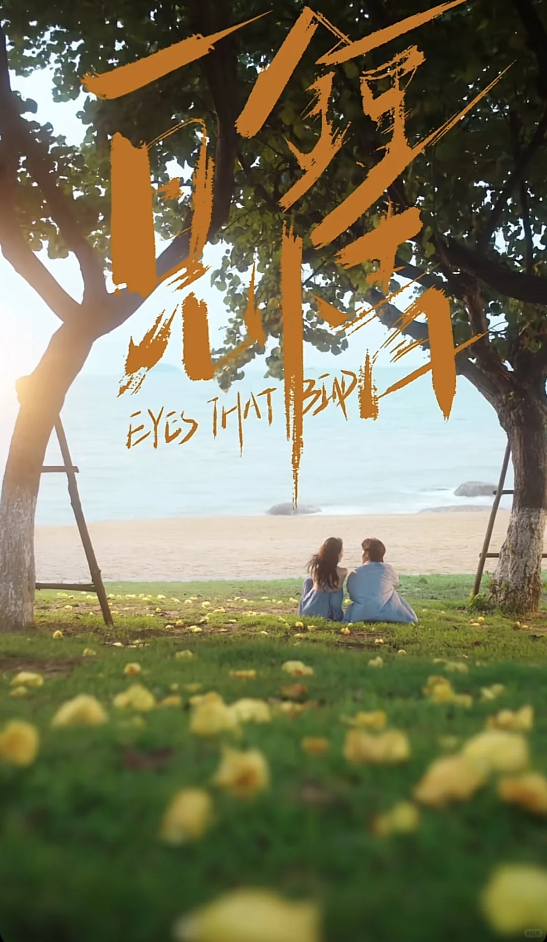 这剧的质量绝了～绝对的天花板级别❗️