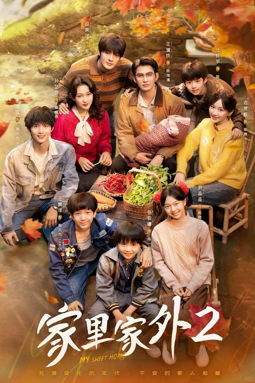 高分亲情剧《家里家外2》，错过你一定后悔