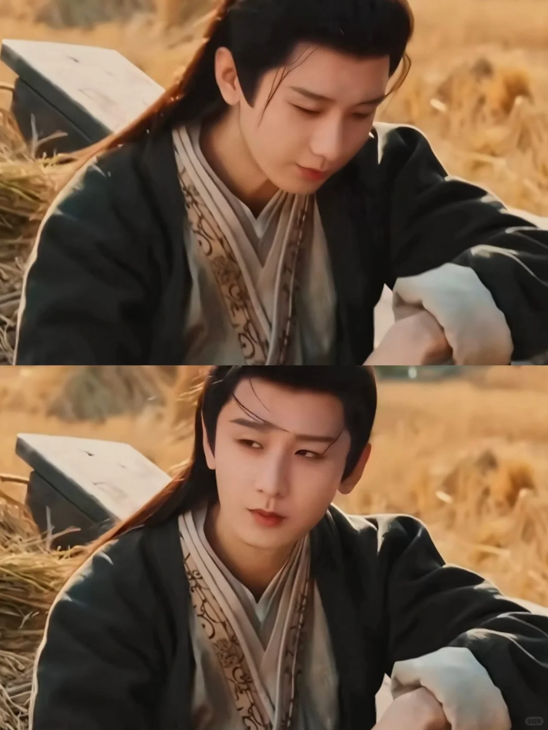 谢淮安复仇之路开启