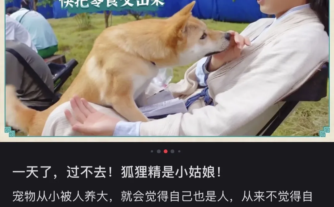 以前虽然暗地里蛐蛐你了，这次还得夸你