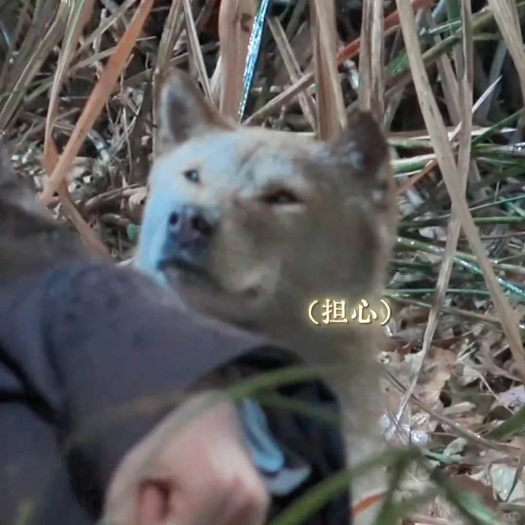 以前虽然暗地里蛐蛐你了，这次还得夸你