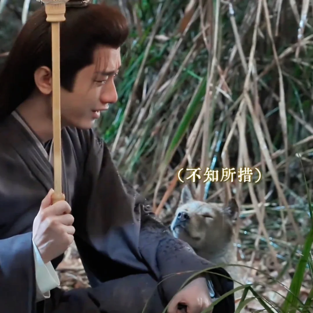 以前虽然暗地里蛐蛐你了，这次还得夸你