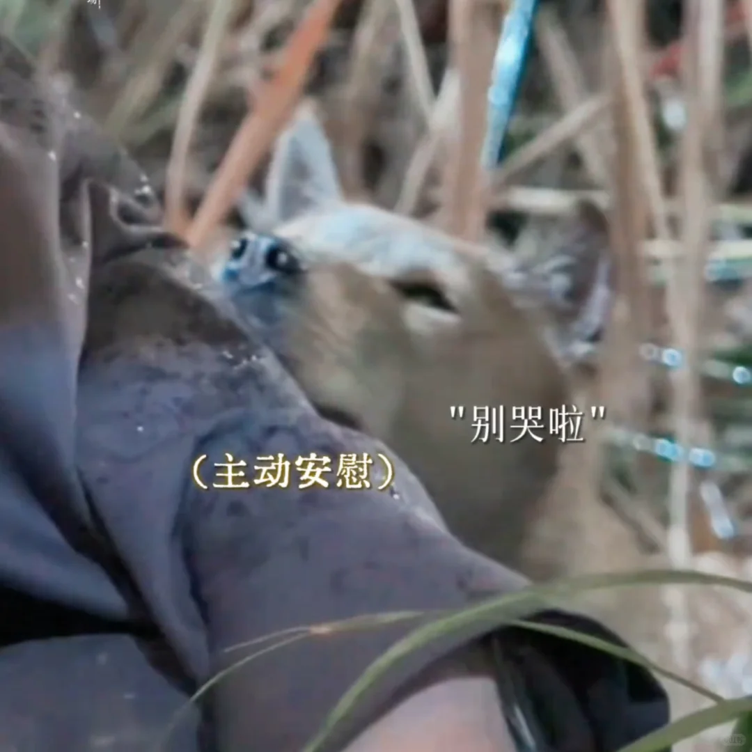 以前虽然暗地里蛐蛐你了，这次还得夸你