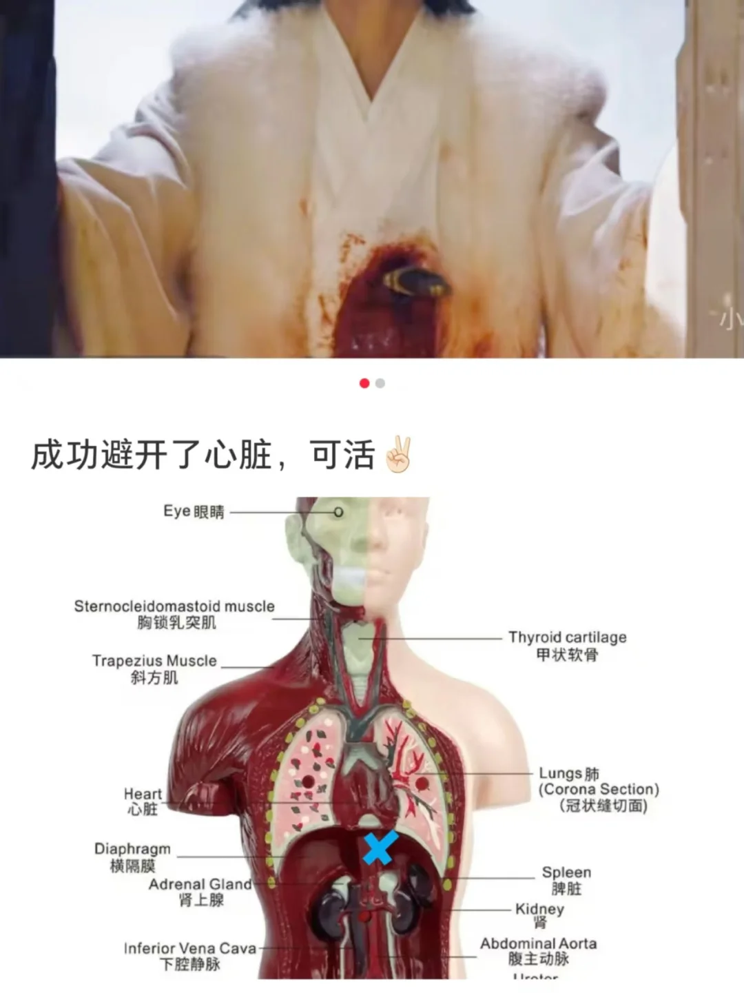 剧再不播我都要被梗笑亖了