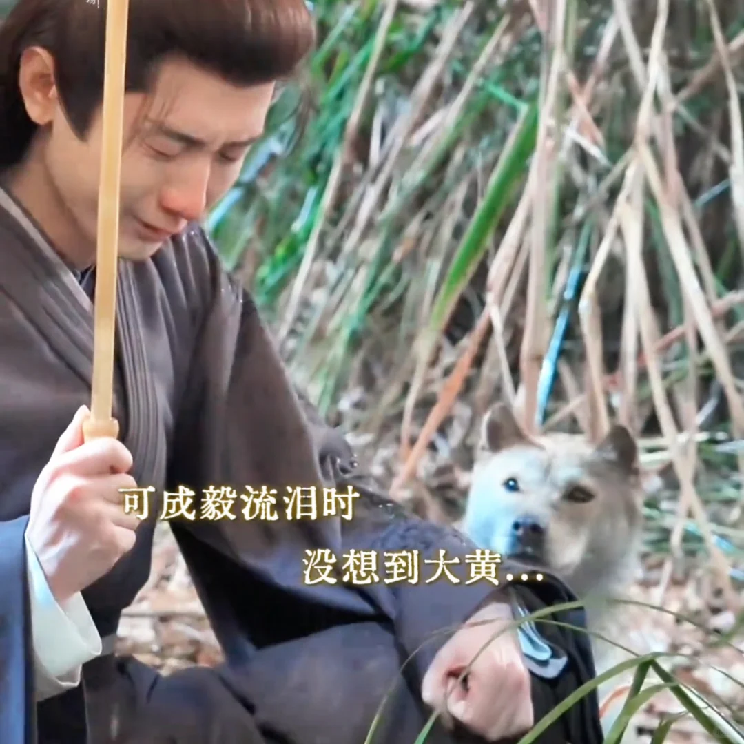 以前虽然暗地里蛐蛐你了，这次还得夸你