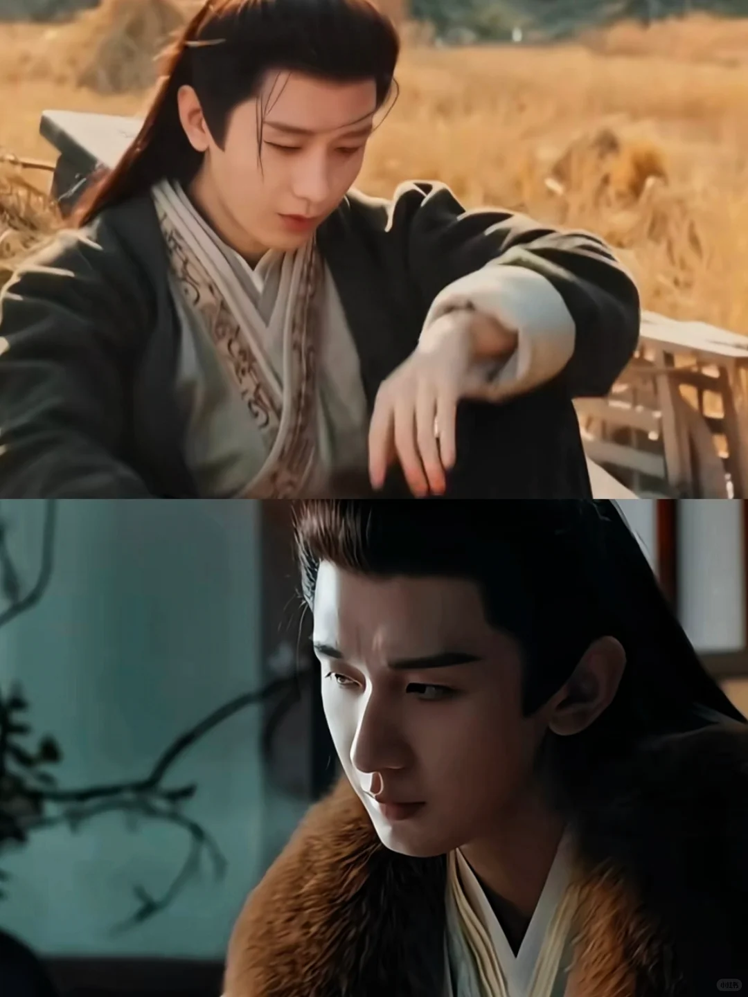 谢淮安复仇之路开启