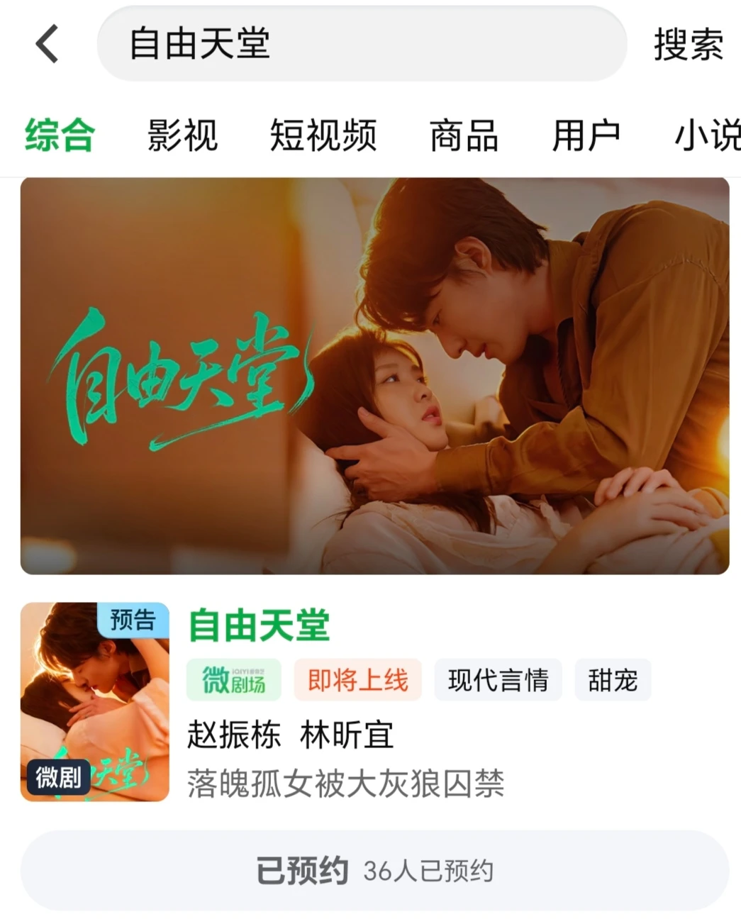 赵振栋《自由天堂》预约