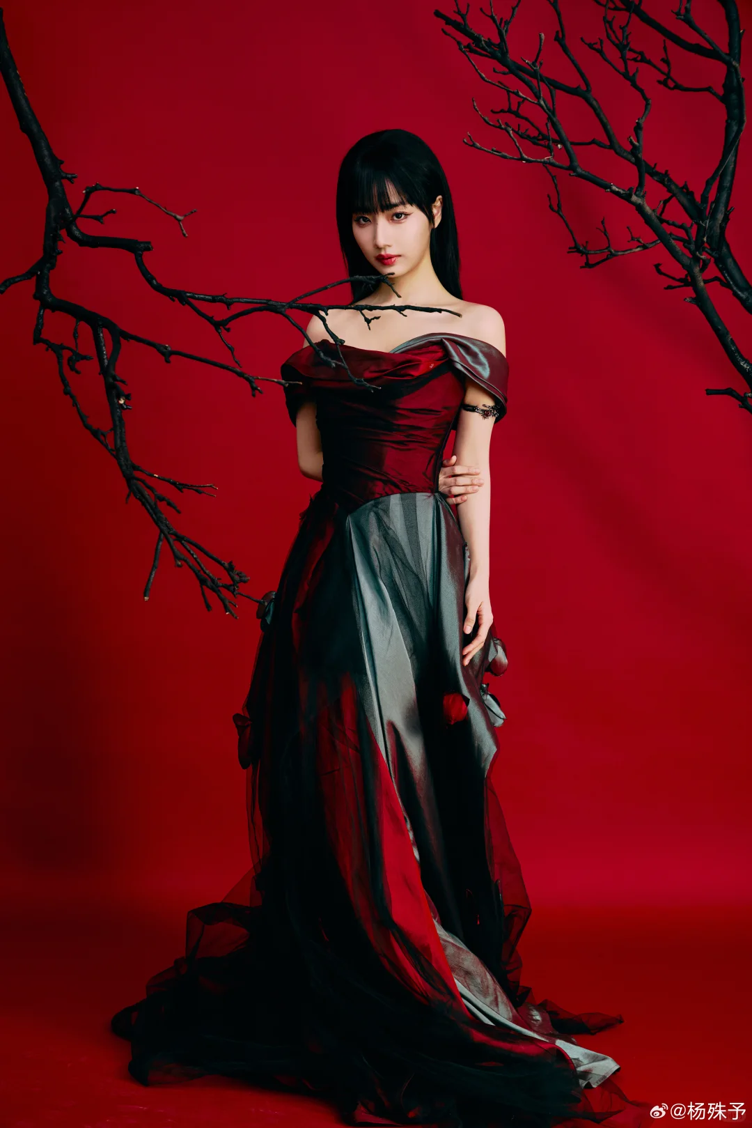 ✨剧查查之夜出发图