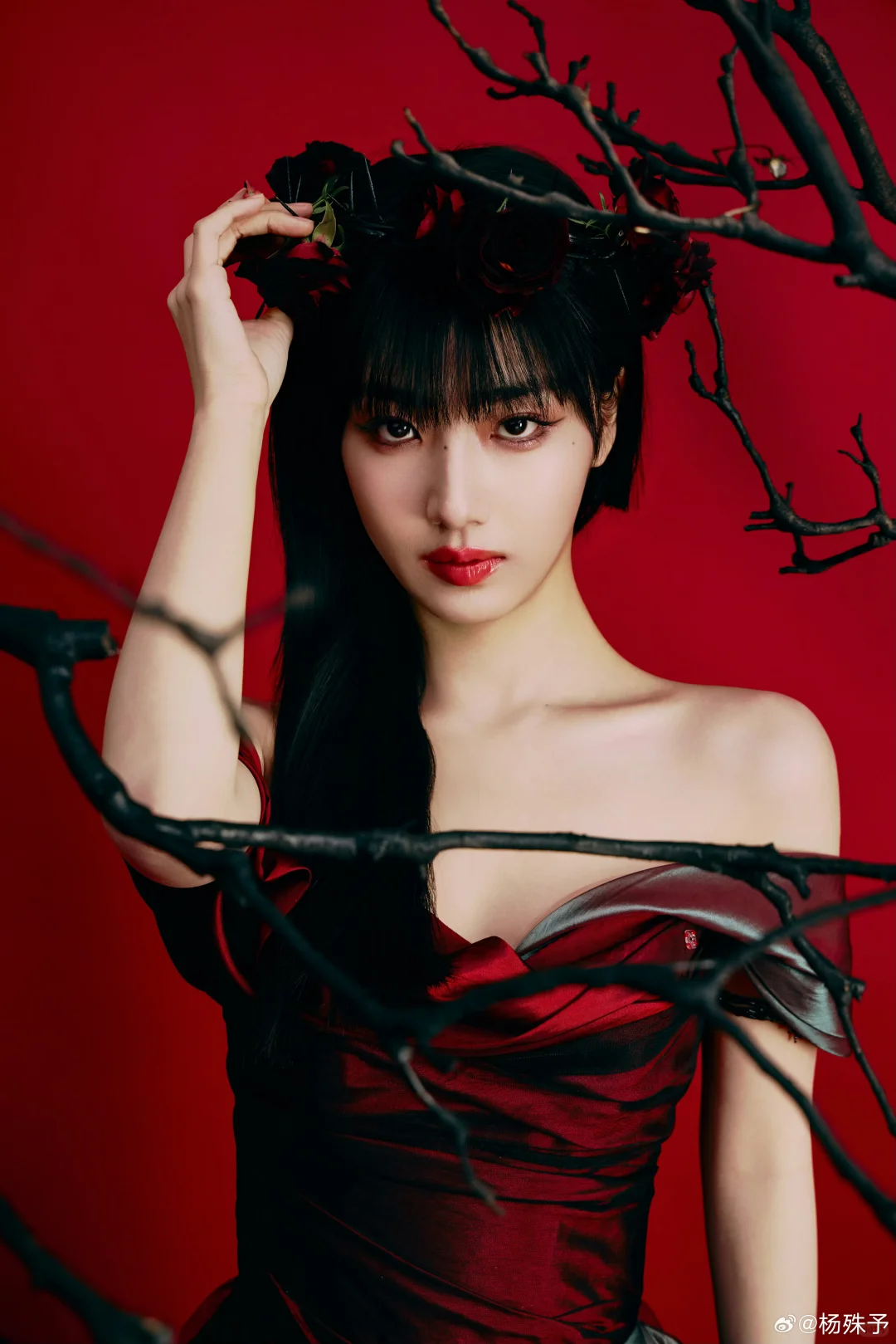 ✨剧查查之夜出发图