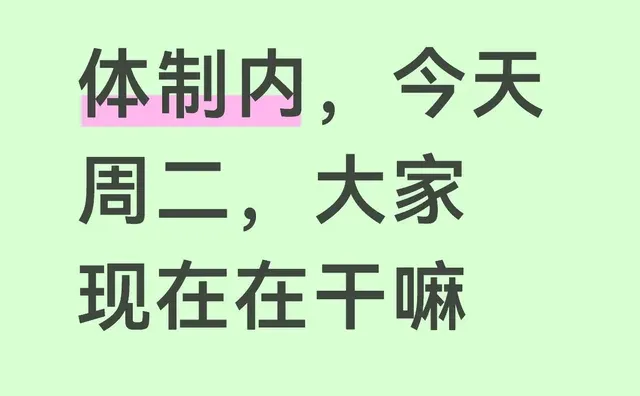 体制内，今天周二，大家现在在干嘛体制内
