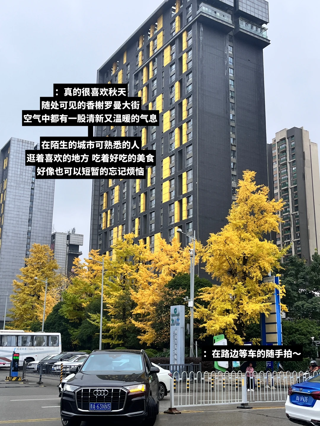 25岁｜研二｜用脑洞搞创意书写「赣味新故事」