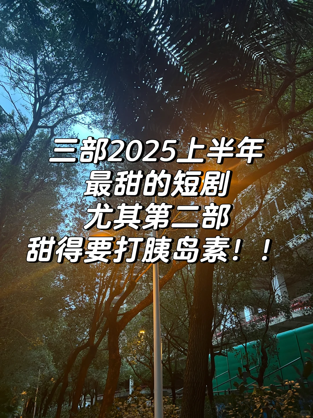 2025上半年最甜短剧！！