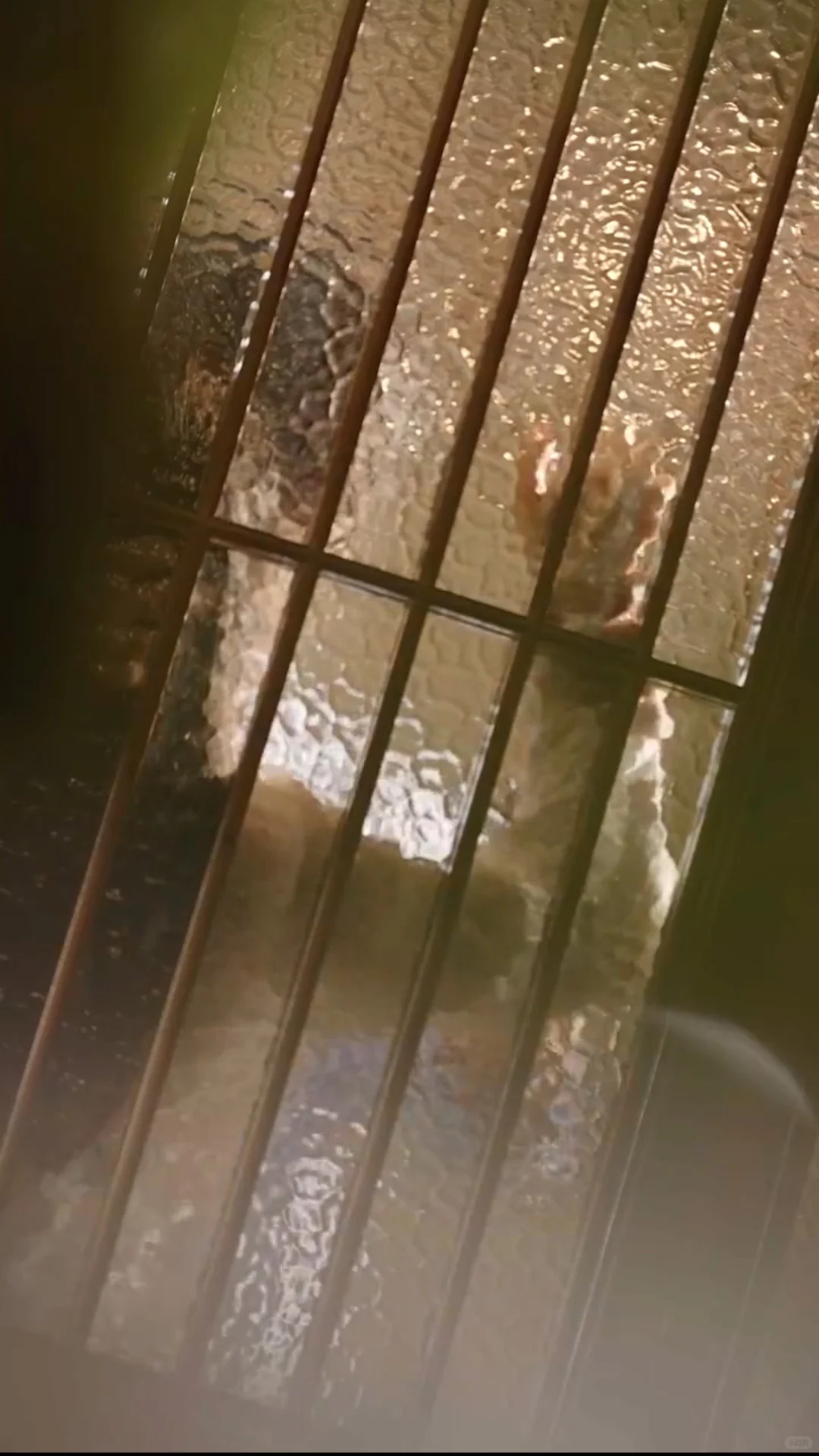 这个秋天必看的超甜短剧，相信我一定要看！