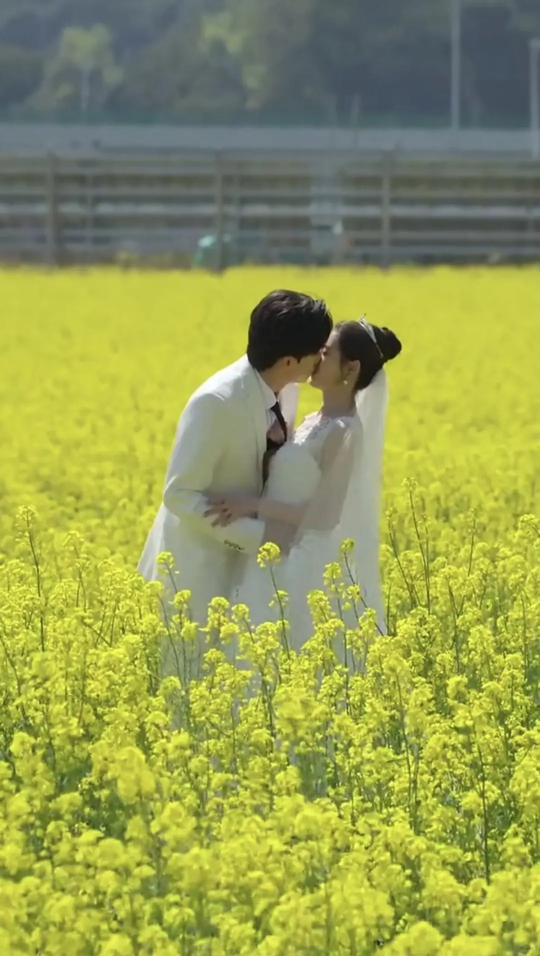 高甜短剧，磕糖上瘾了！都怪男主实在太宠！