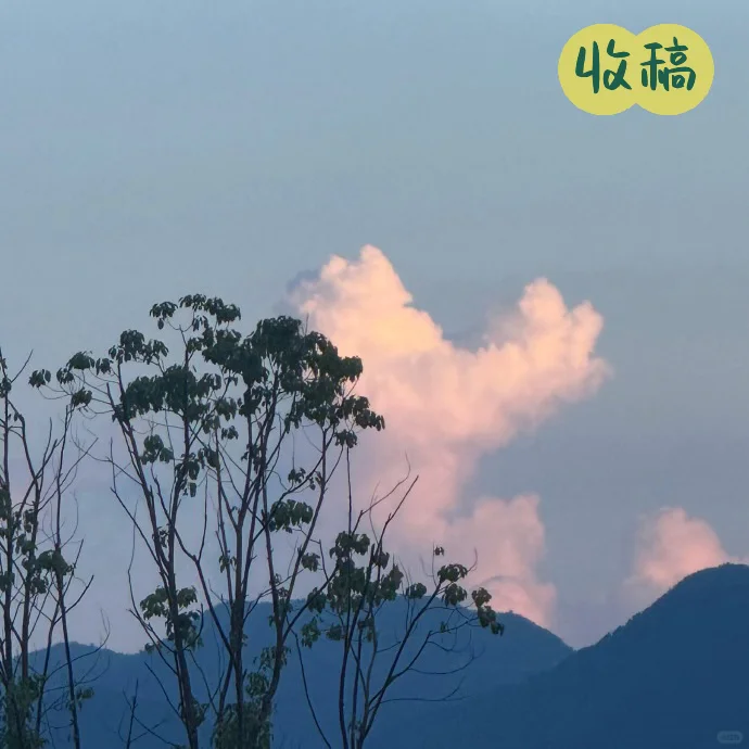 11月收稿方向！快来一起玩吧！！！