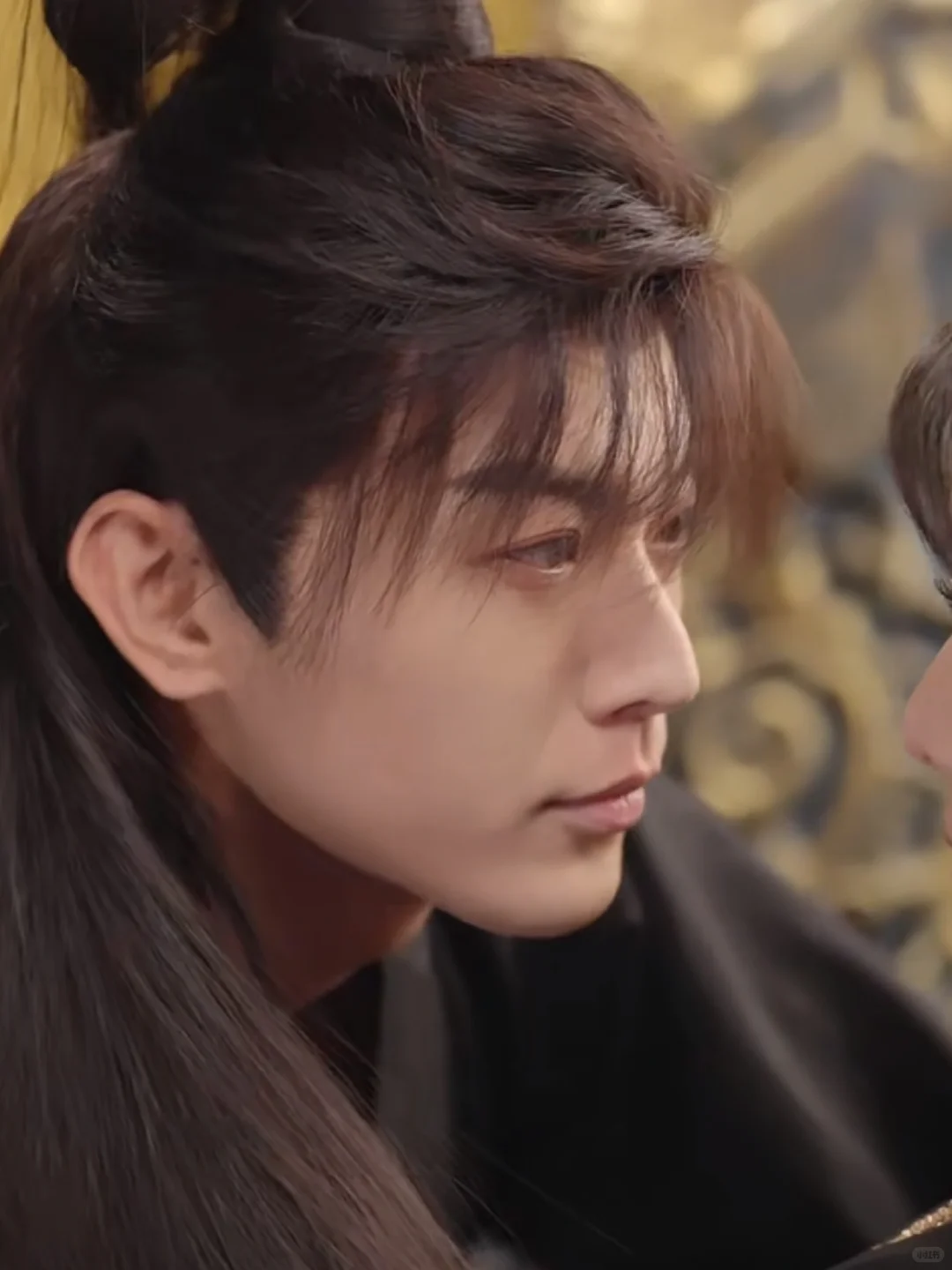 🌟 **古风权谋天花板 双胞胎丞相x复仇孤