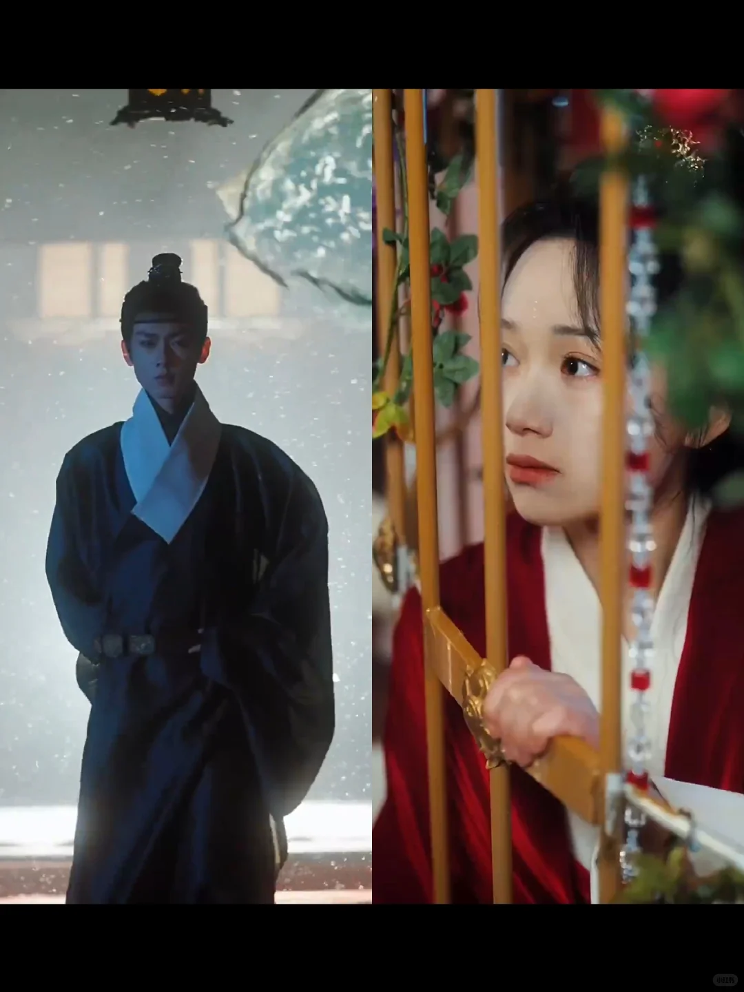 宁为玉碎丨郑锋＆王文君《碎玉承欢》