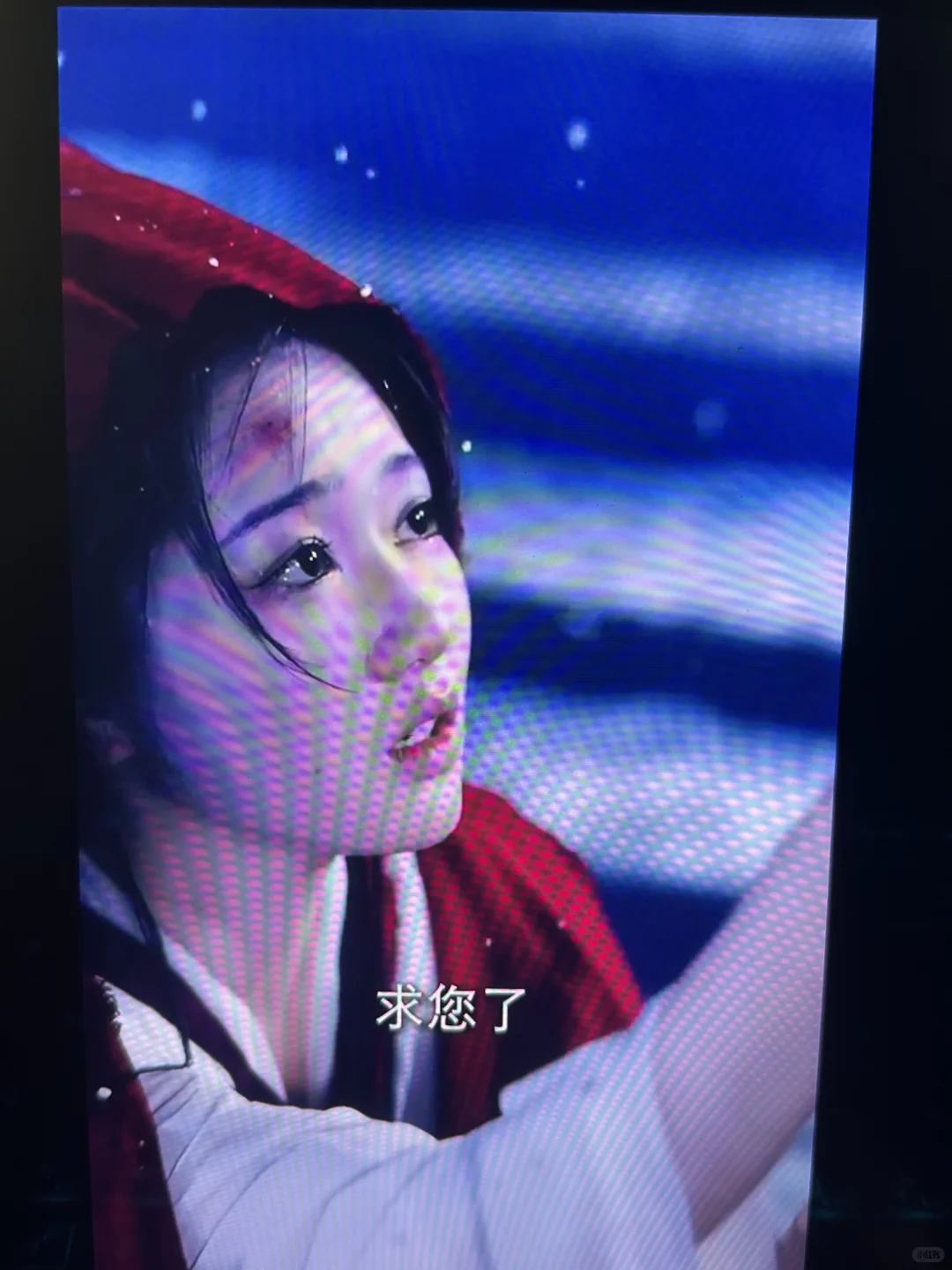 【🌹爆款短剧安利｜《蔷薇花谢即归来》——虐恋】