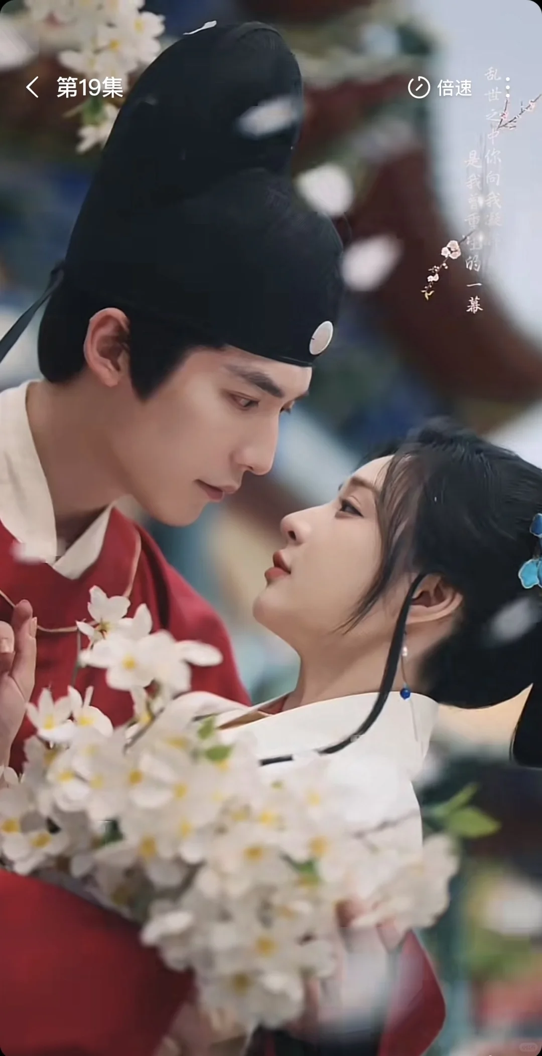 这部我称之为古装短剧细糠No.1❗