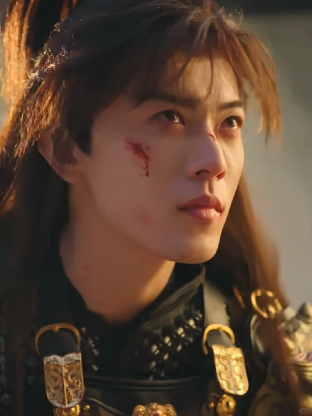 🌟 **古风权谋天花板 双胞胎丞相x复仇孤