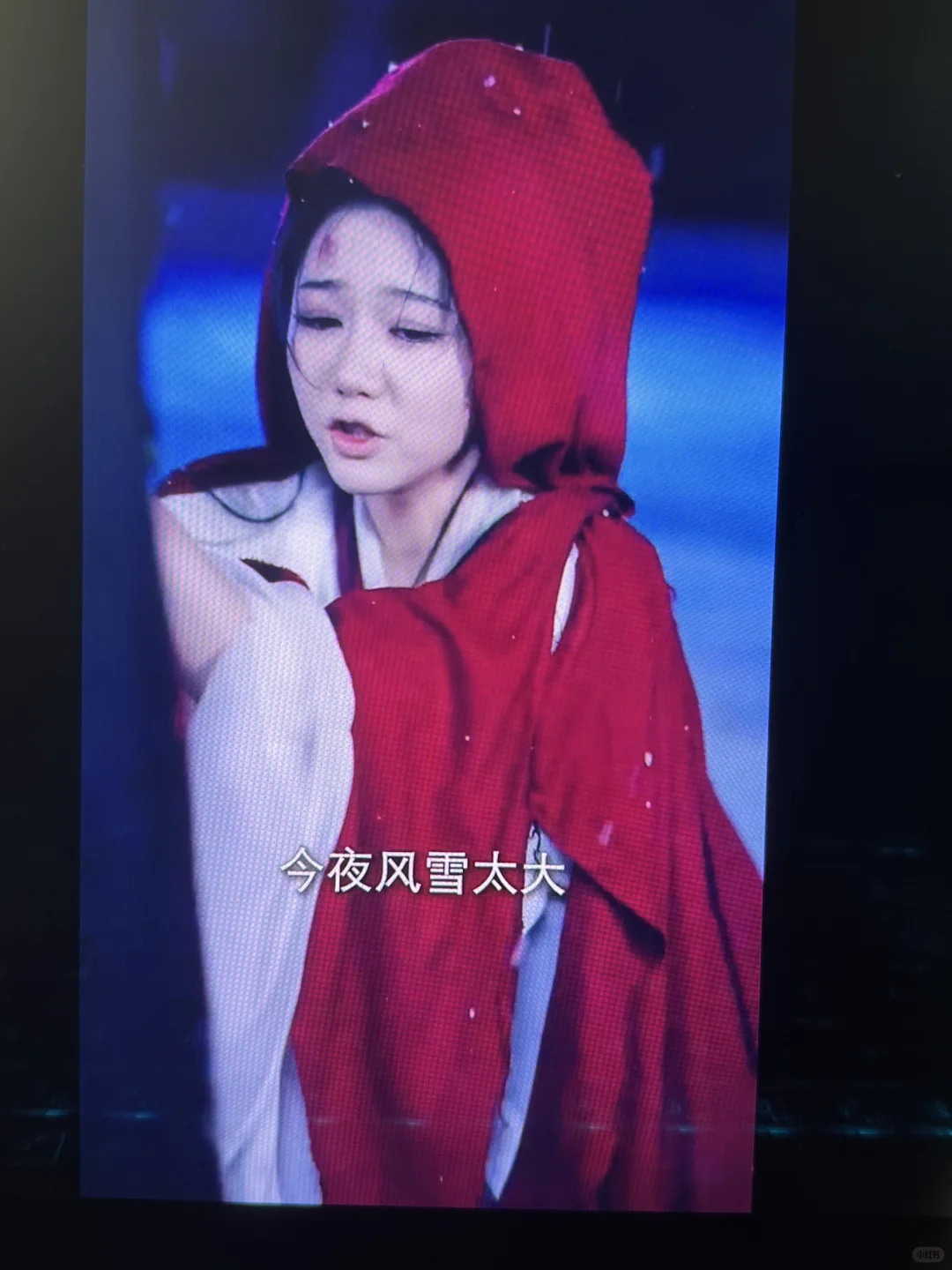 【🌹爆款短剧安利｜《蔷薇花谢即归来》——虐恋】