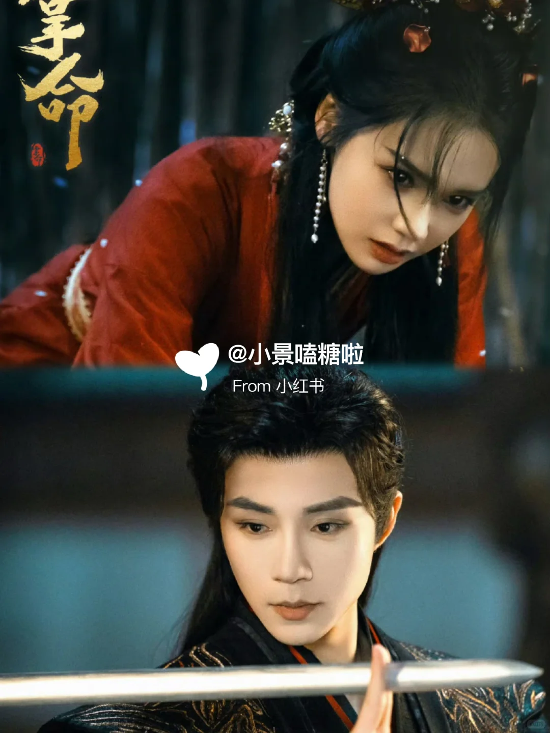 妈耶❗️好带感❗️腹黑权臣✖️复仇少女