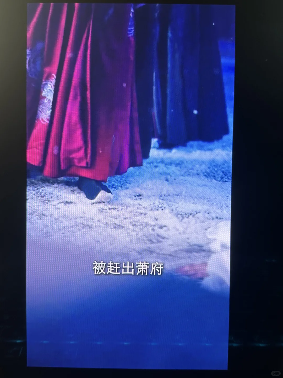 【🌹爆款短剧安利｜《蔷薇花谢即归来》——虐恋】