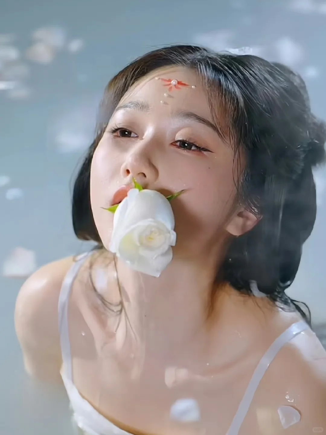 挑战观看100部短剧：第②②部🍵🍃🐚