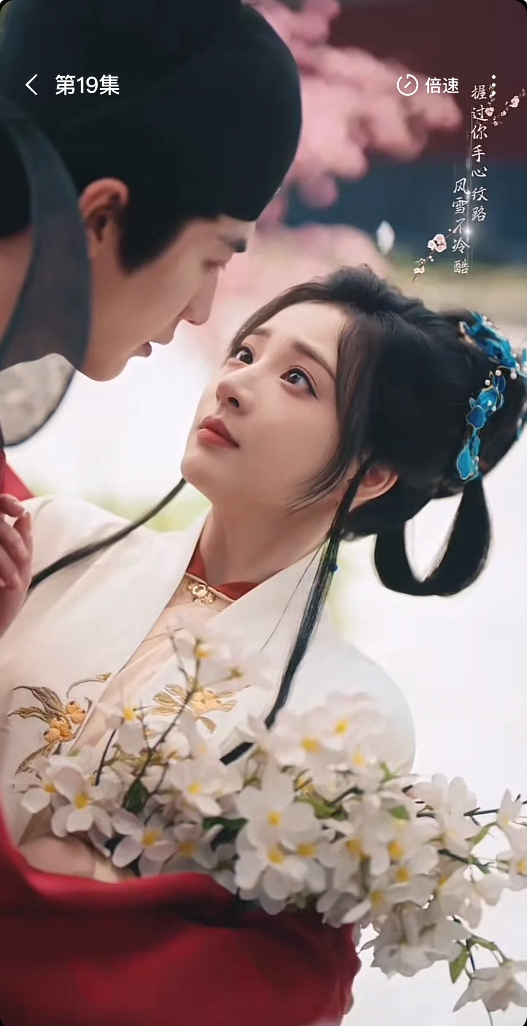 这部我称之为古装短剧细糠No.1❗