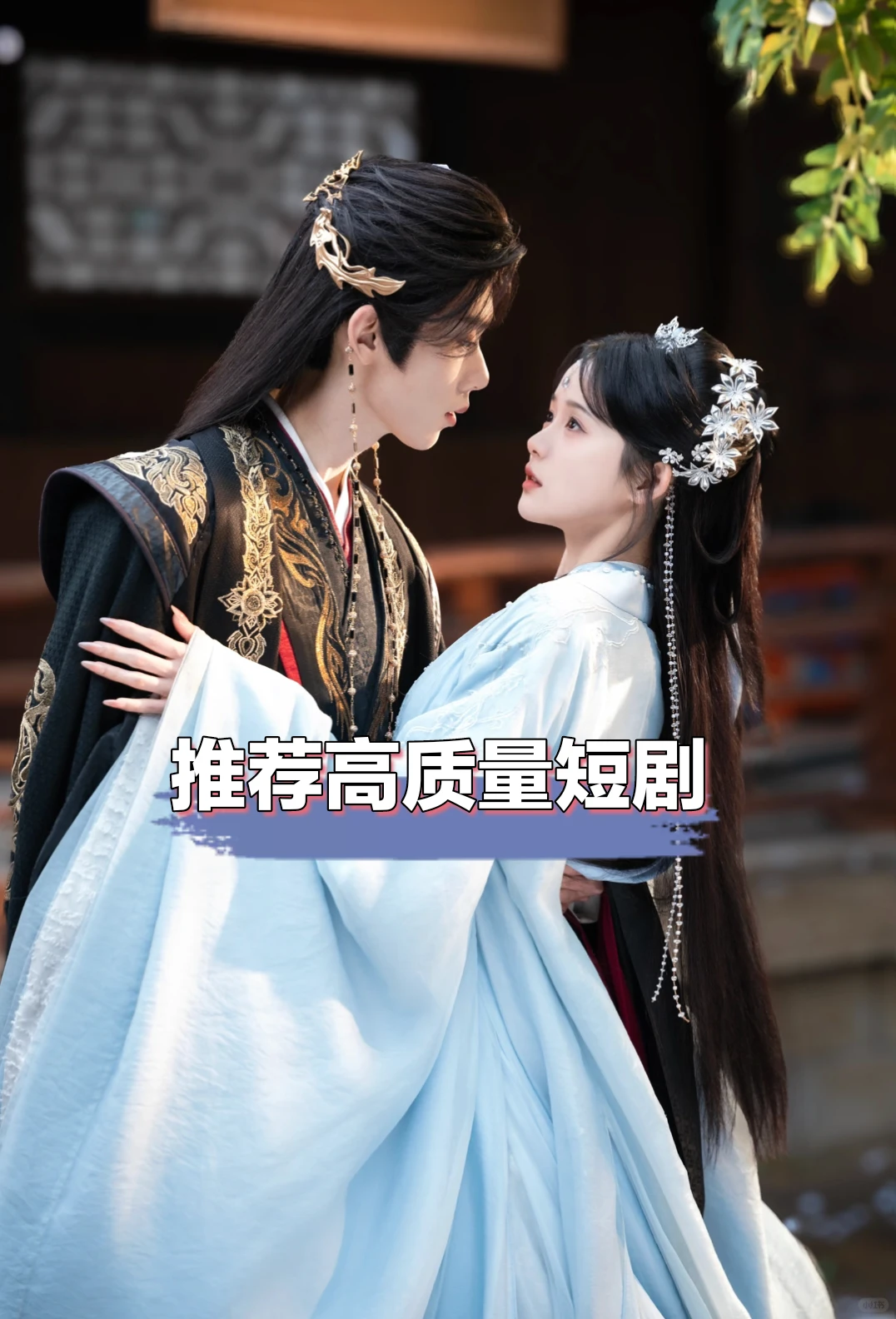 你最喜欢哪一部？