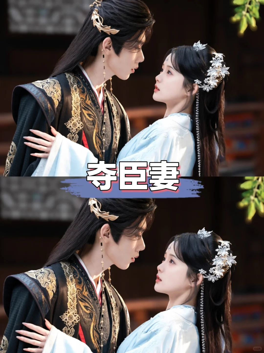 你最喜欢哪一部？