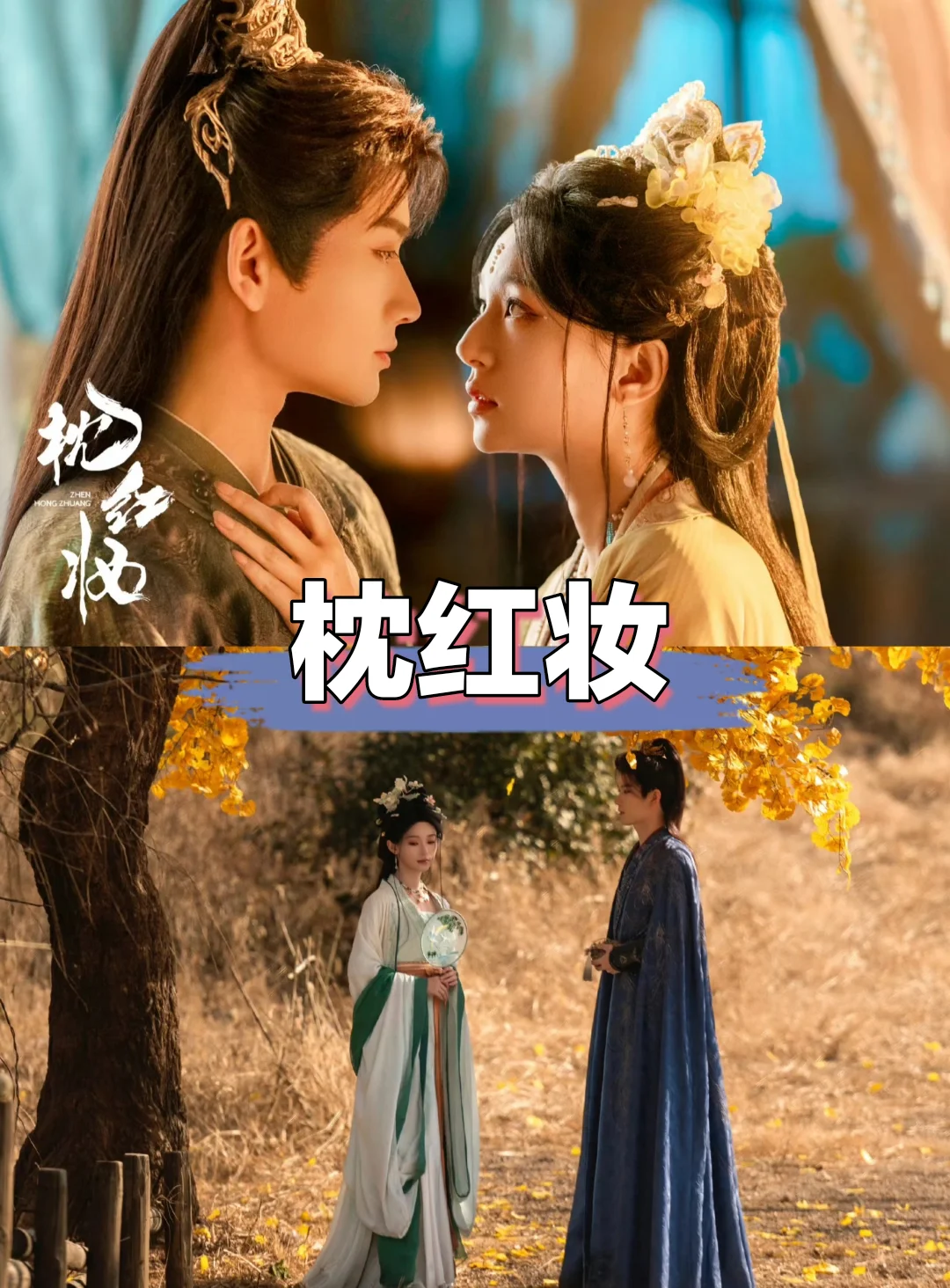 你最喜欢哪一部？