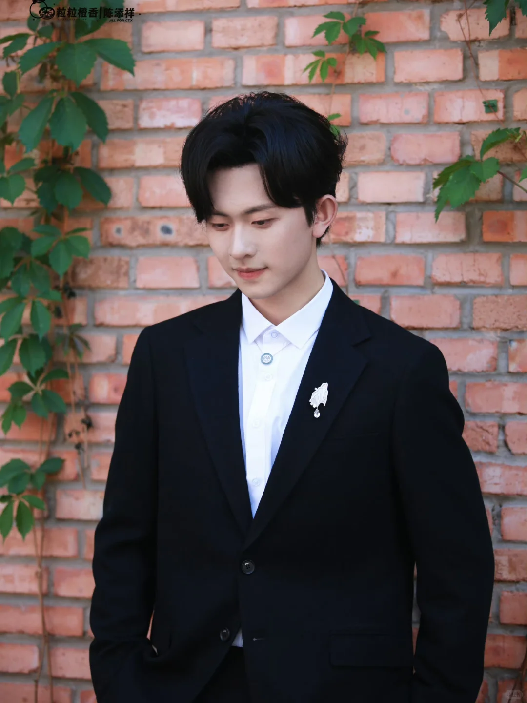 救命😭陈添祥短剧集|🔥颜值杀疯了