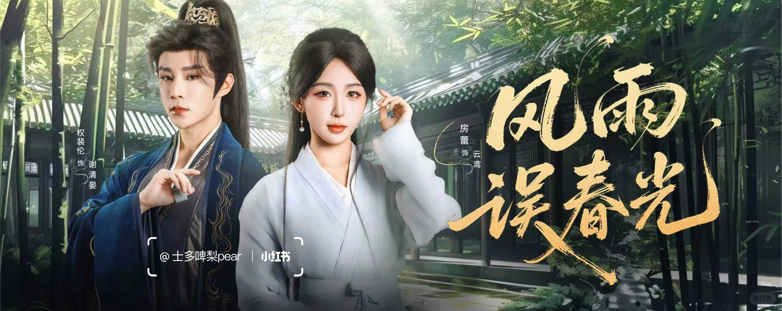 古装短剧海报设计//风雨误春光
