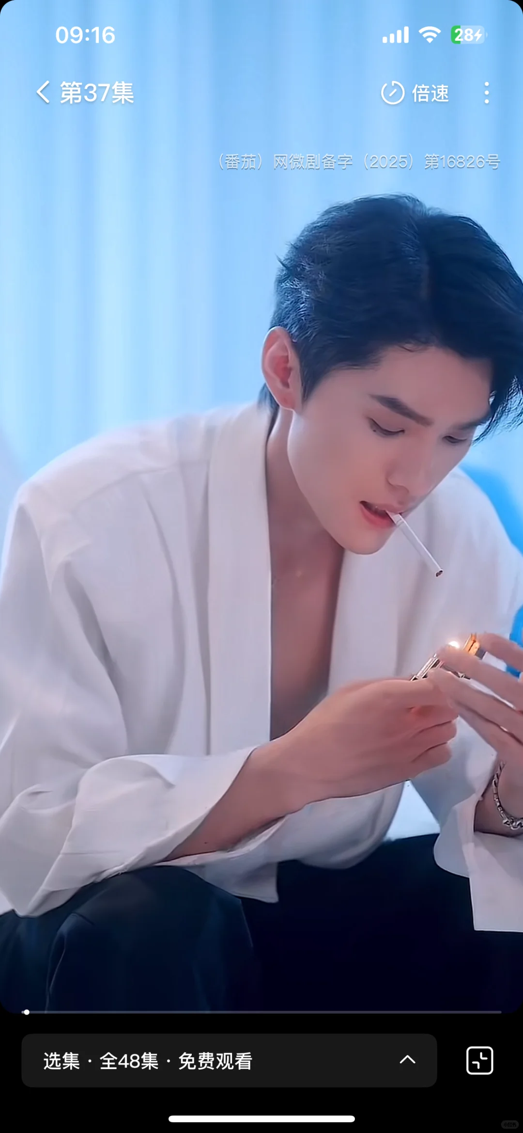 《春夜染明月》古早言情小说味满满