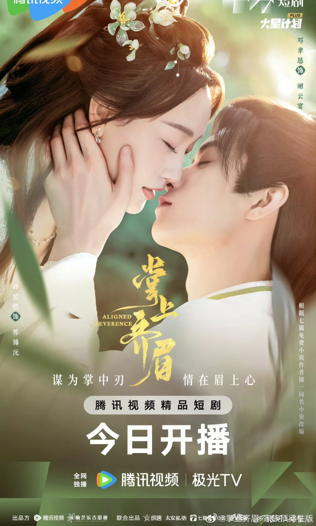 古装权谋剧《掌上齐眉》热播中❗❗❗