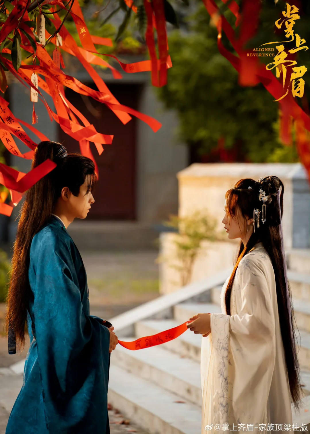 古装权谋剧《掌上齐眉》热播中❗❗❗