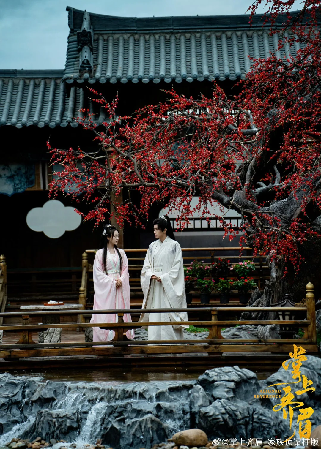 古装权谋剧《掌上齐眉》热播中❗❗❗