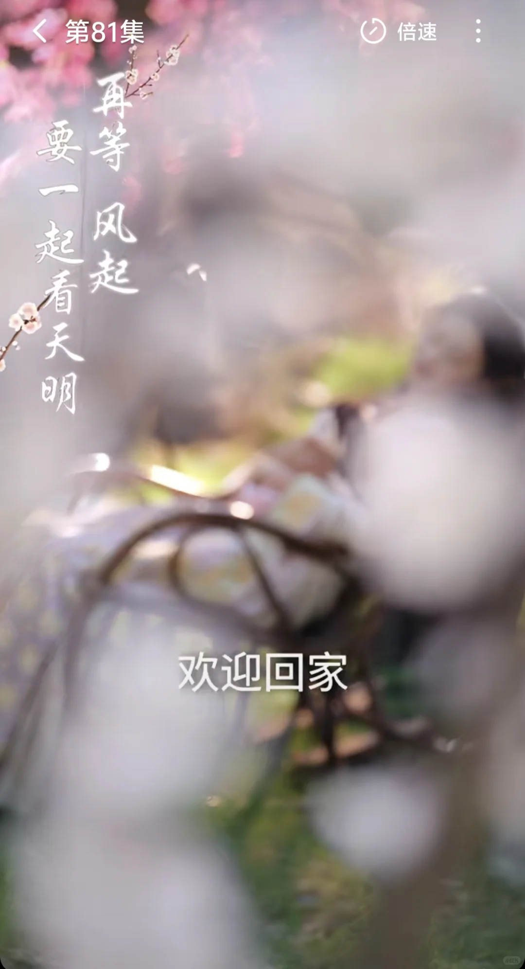 《桃花烬》三榜第一！第二部短剧筹备中！